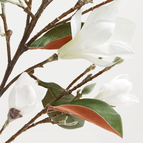 Rama-Decorativa-Blooming-Magnolia-Crate-and-Barrel